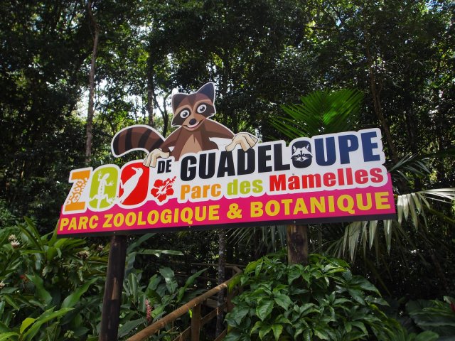 Guadeloupe Zoo