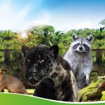Zoo de la Martinique
